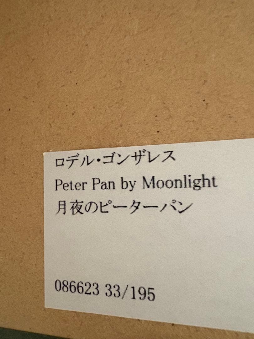 【限定セール中】ディズニー　ファインアート 月夜のピーターパン