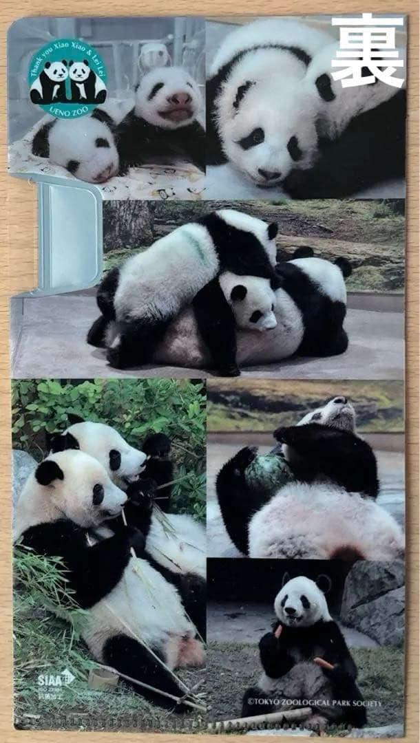 【新品未開封】上野動物園　親子パンダぬいぐるみ　シンシン　シャオシャオ　レイレイ