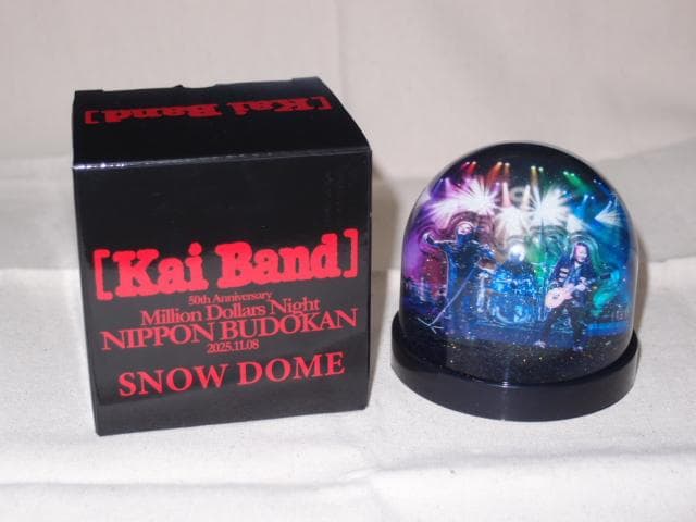 甲斐バンド 50周年記念 武道館ライブ VIP席特典 スノードーム 限定