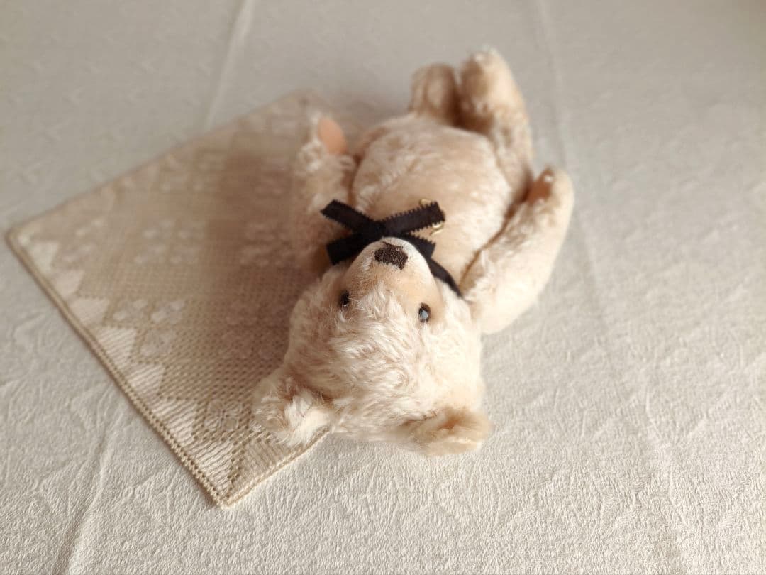 * vintage bear ୨୧ .·*° ドイツから来た クマさん