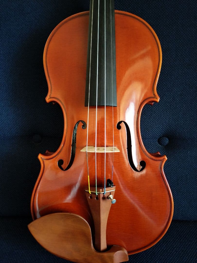 Roderich Paesold PA468/V.R 4/4バイオリン弓