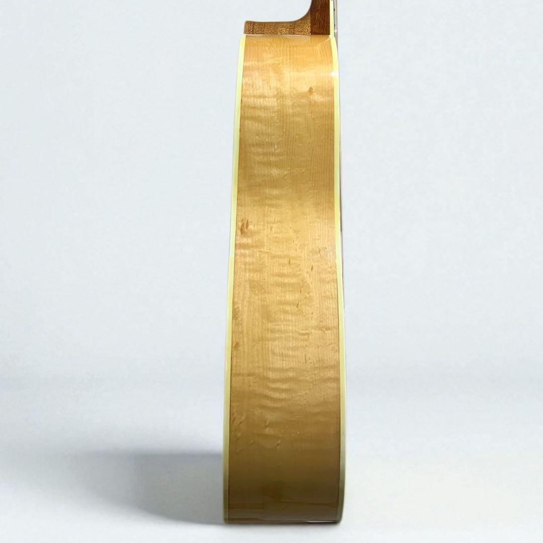 SPLENDOR スプレンダー 国産ドレッド 美品 杢メイプル 楽器・機材