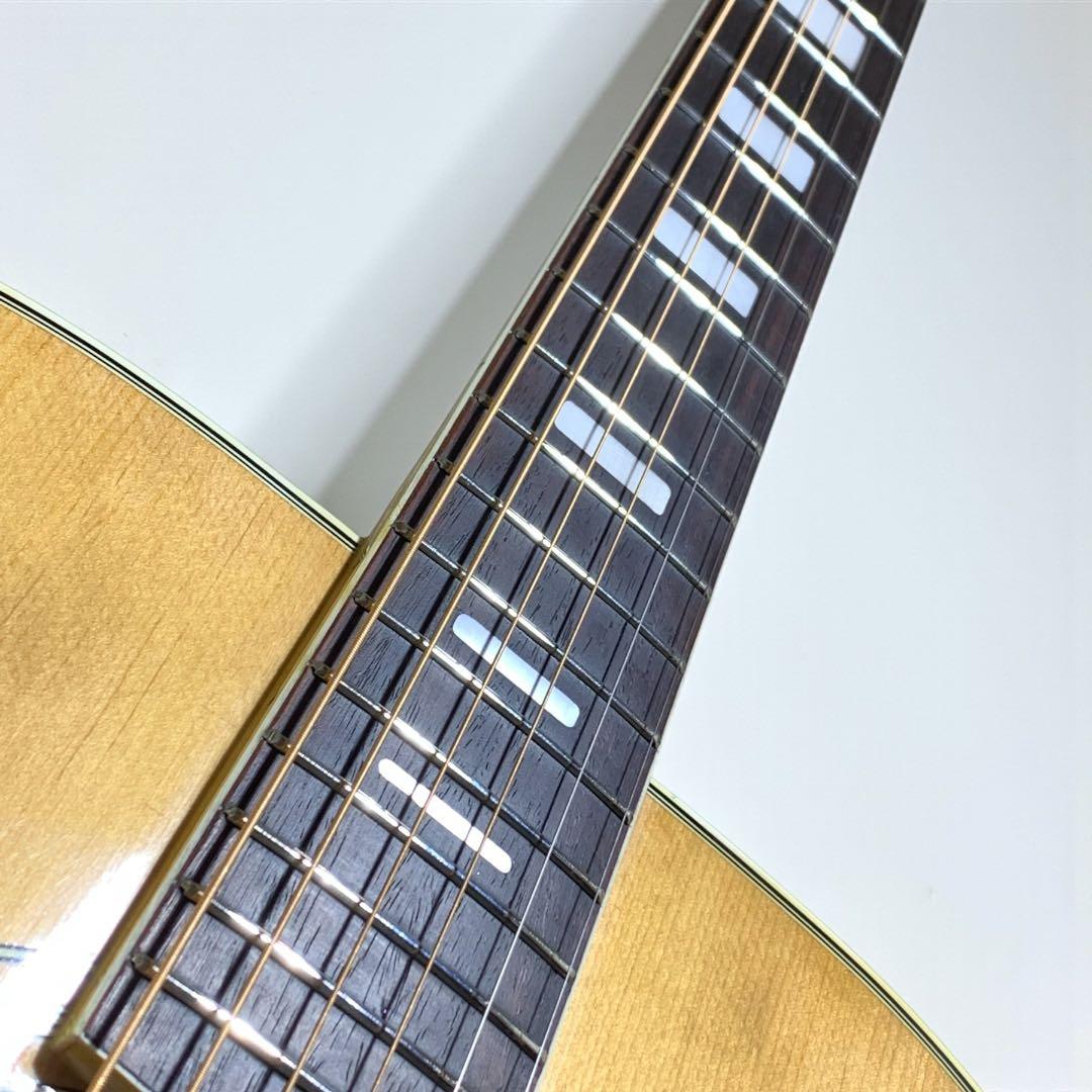 SPLENDOR スプレンダー 国産ドレッド 美品 杢メイプル 楽器・機材