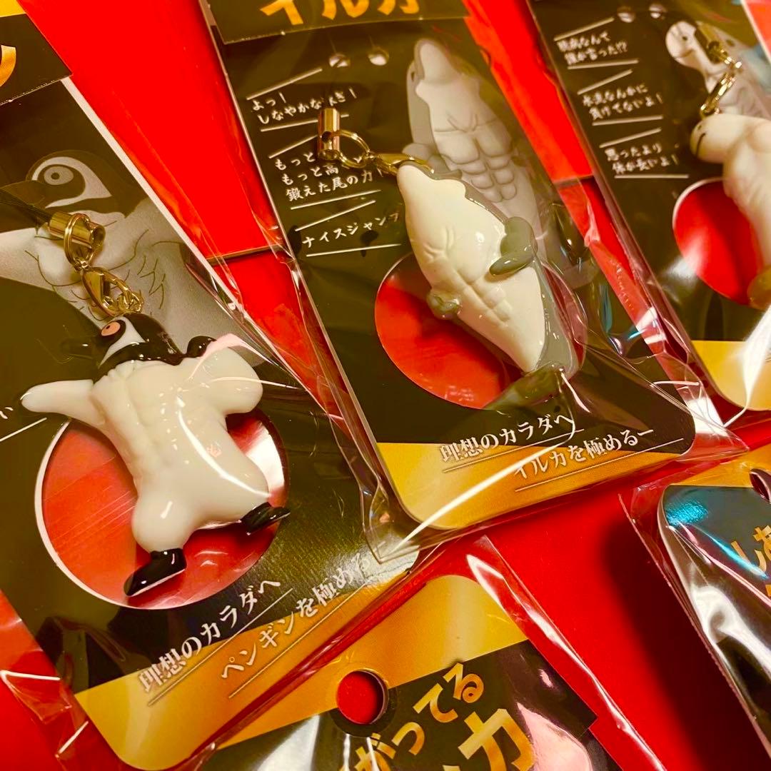 【須磨シーワールド】さらにしあがってるシャチの仲間たち　岩本照　スノーマン　7点