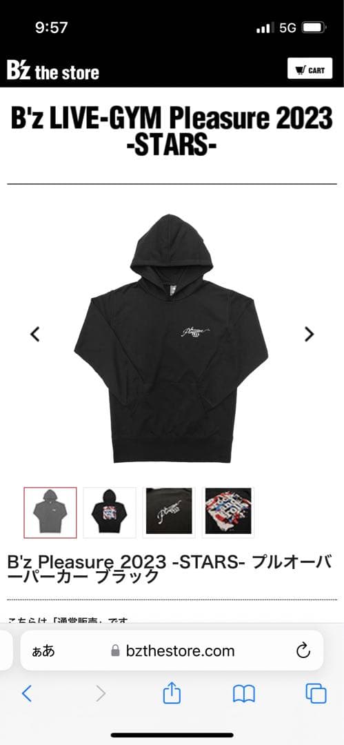 Bz Pleasure 2023 -STARS- パーカー ブラック 2XL