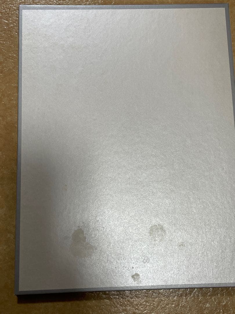 パク・ボゴム Christmas Eve DVD ストラップ スプーン