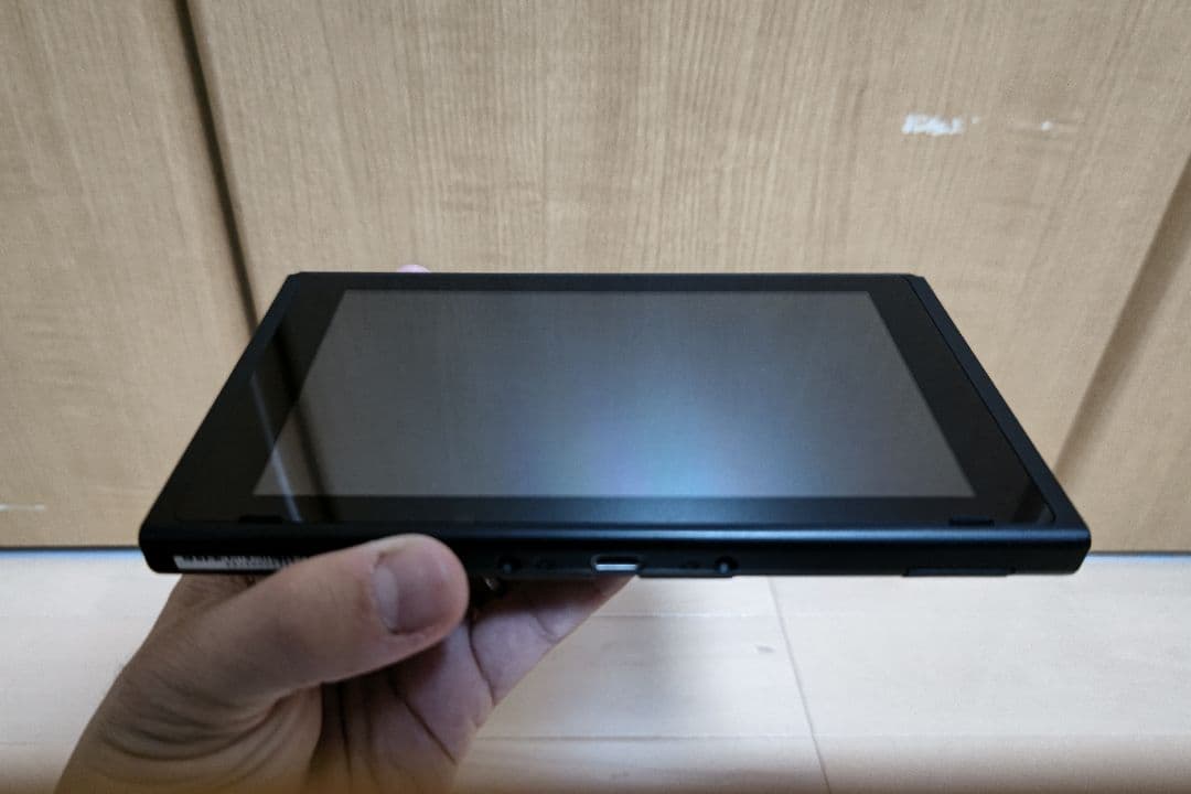 ニンテンドースイッチ　ケース、おまけ付　動作確認、初期化済