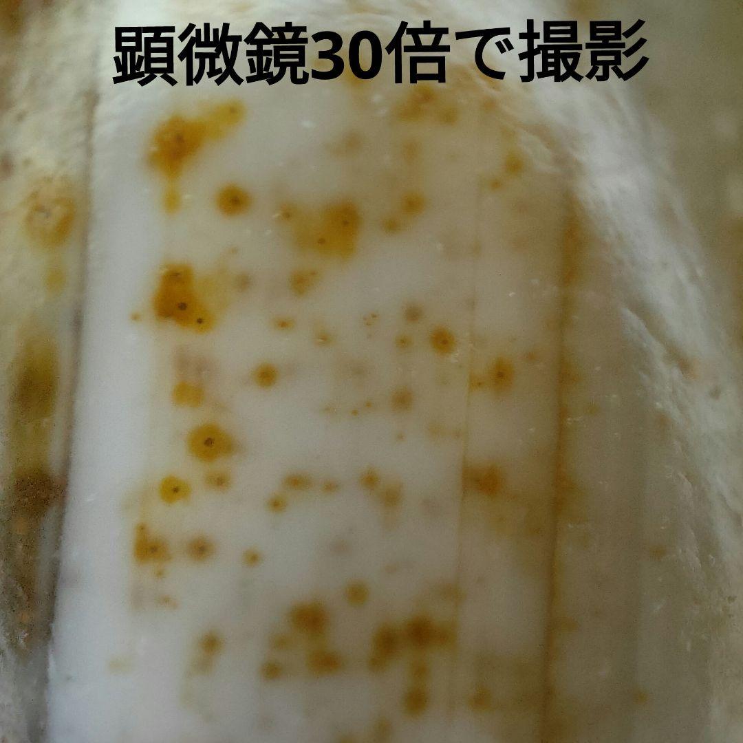 A27 朱砂老礦三眼天珠 天然石 鉱物 風水 開運 御守り 天珠