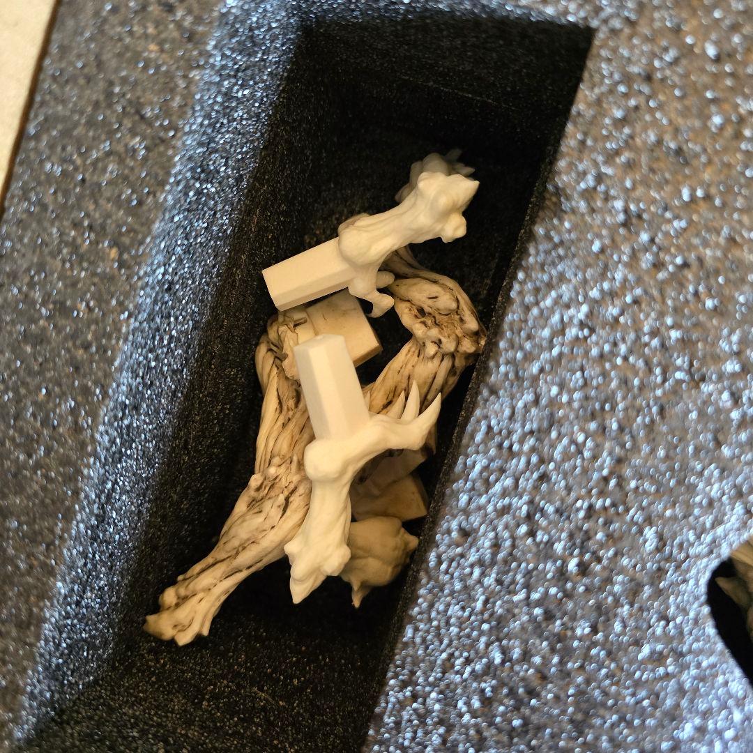 地啼龍アンイシュワルダ ガレージキット - メルカリ