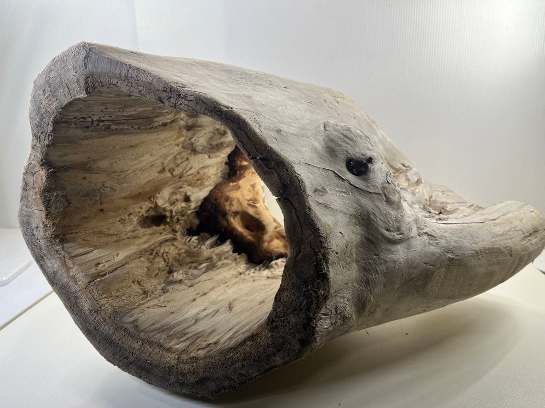 r86特大流木 アク抜き済み 爬虫類シェルター インテリア オブジェ