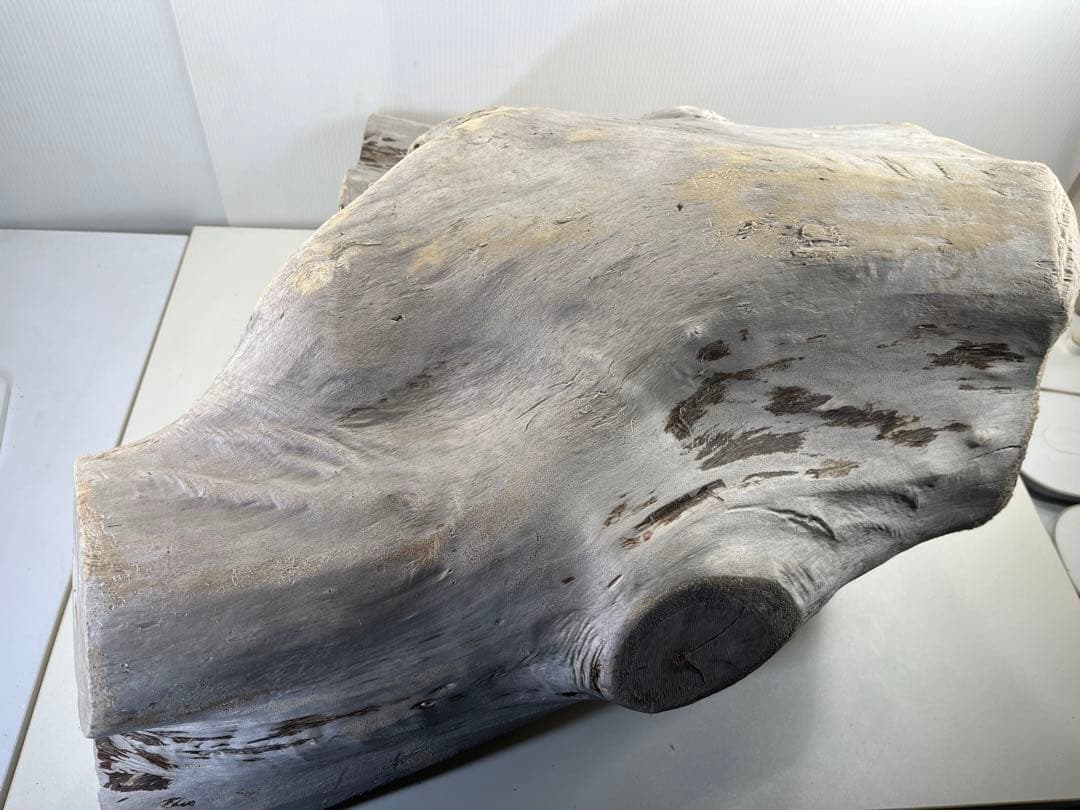 r86特大流木 アク抜き済み 爬虫類シェルター インテリア オブジェ