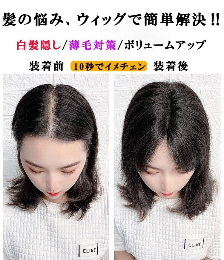 人毛100％ ヘアピース 総手植え 分け目自由 超軽量 蒸れにくい ブラック2点