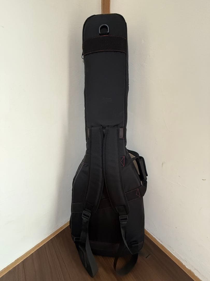 earlkeigh専用NAZCA PROTECT CASE エレキギター用