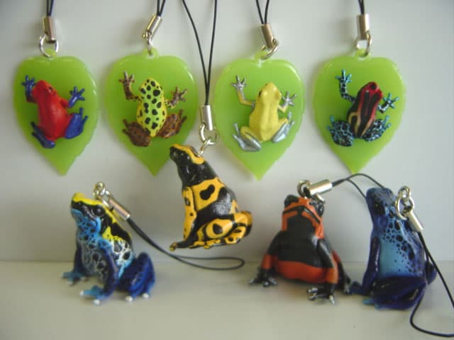 ♯Hoi31CHネイチャーヤドクガエル1ストラップマグネット人気14種