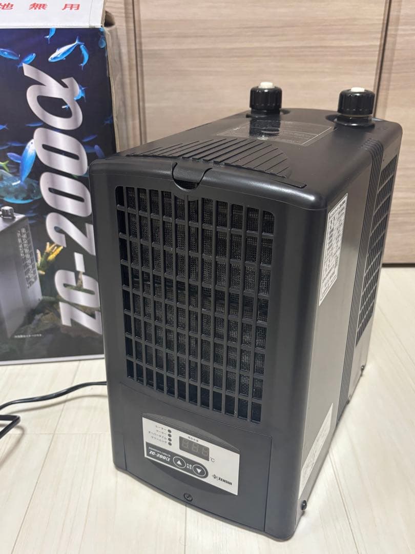 h*3様 ブセファランドラ sp.バンジャルバルダークグリーン【カミハタ2013