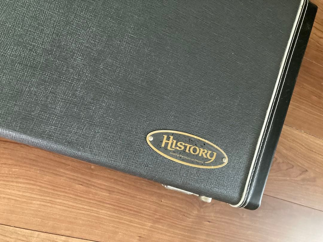 HISTORY SZ-1 ストラトキャスター ペイズリー柄 限定モデル - メルカリ