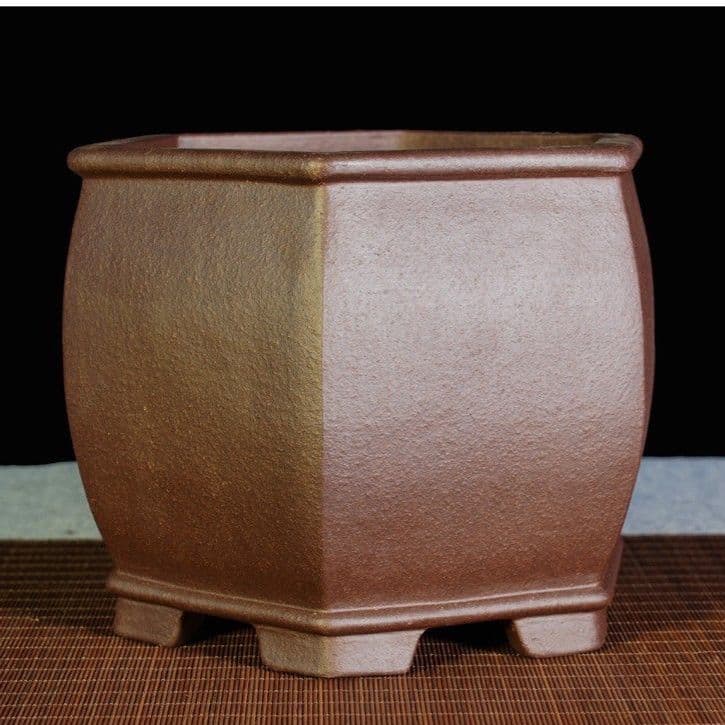 宮澤 章造 梅の湯呑 益子 陶芸家 益子焼