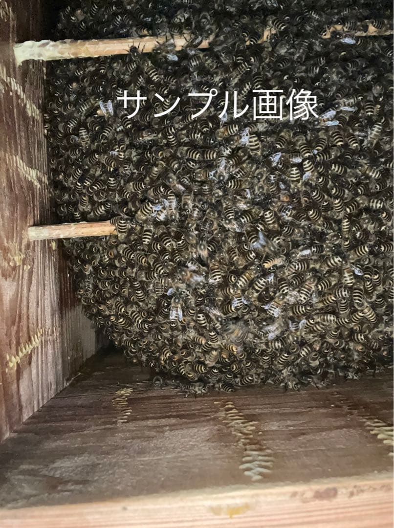 日本蜜蜂重箱式巣箱ハニーズハウス！ニセット！超訳あり特価！送料無料！