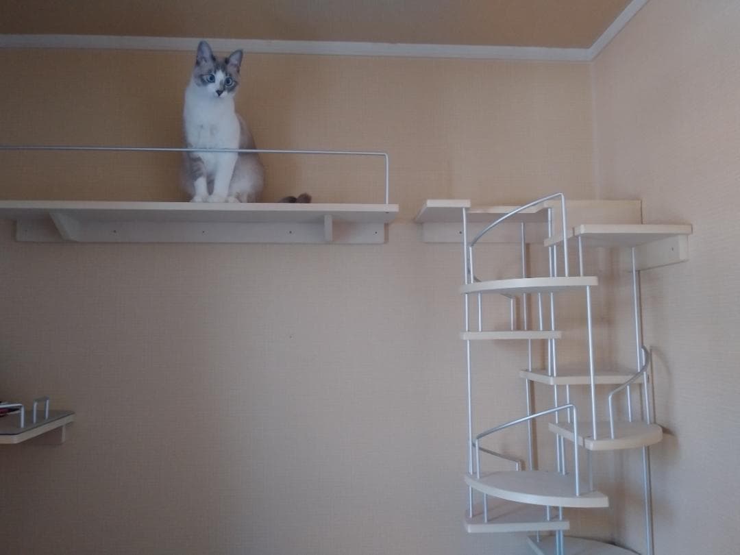 キャットウォーク、手すり付き階段、ねこちゃんもあんしん、軽量設計