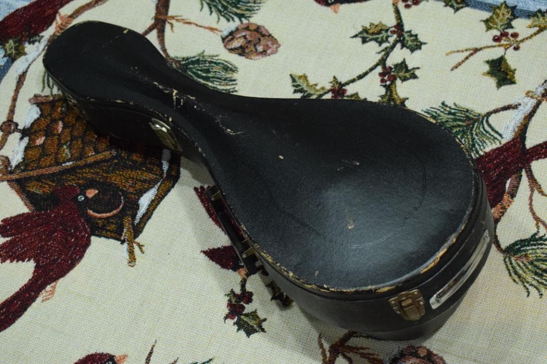 【新品弦張り替え済】Suzuki マンドリン M-210【ハードケース付】