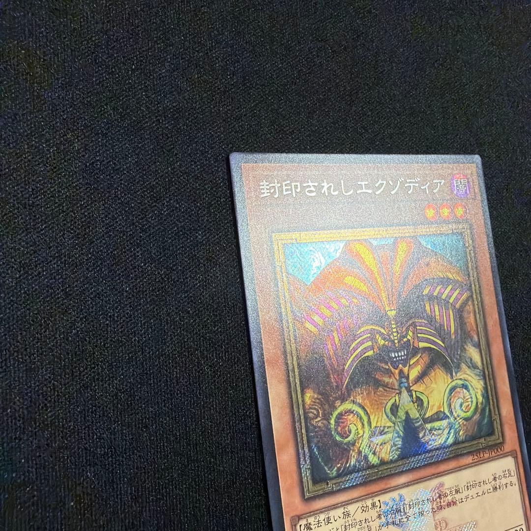 封印されしエグゾディア シークレット ロゴ WCS2025 フランス 遊戯王