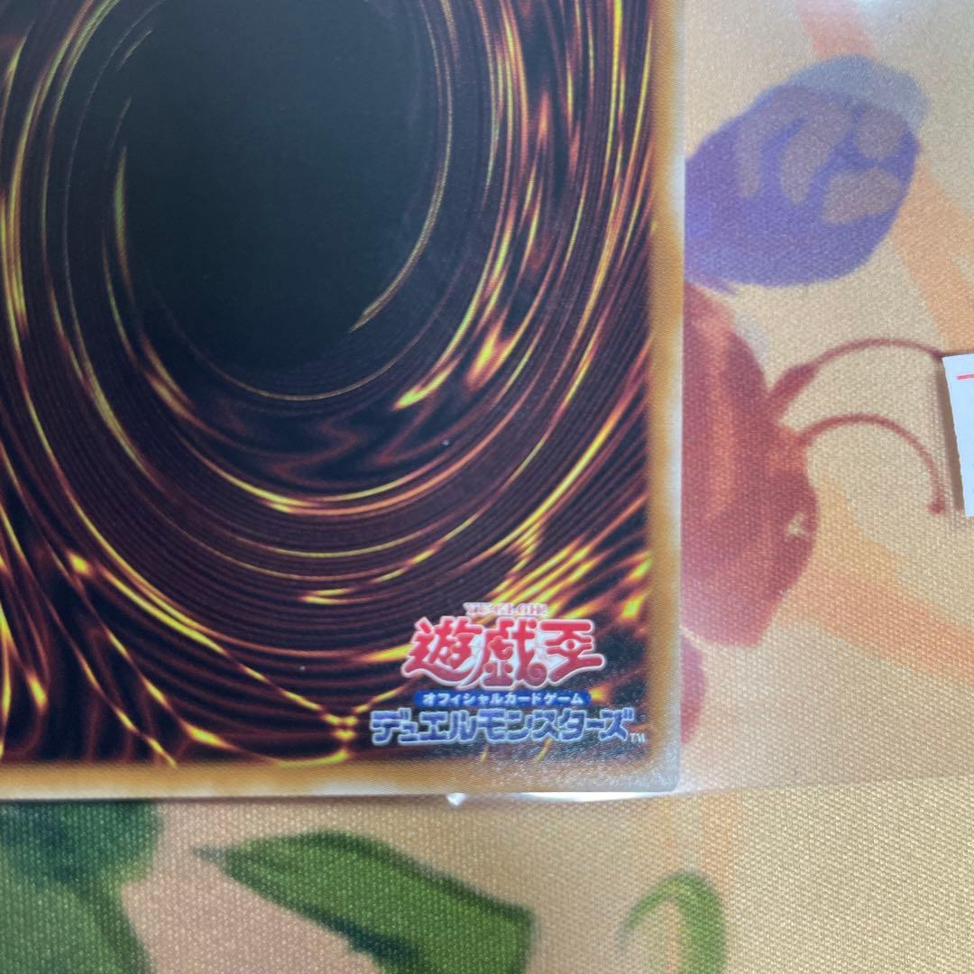 魔術師の弟子　ブラックマジシャンガール　25th