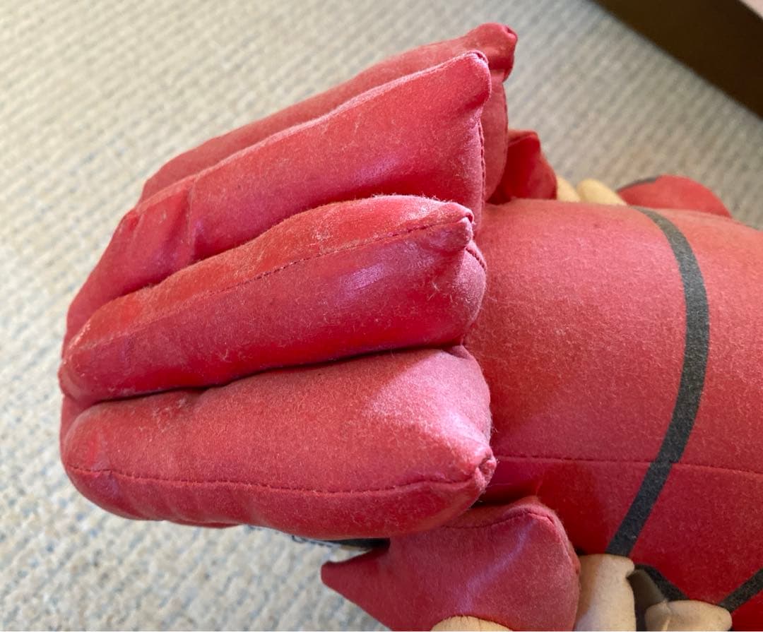 ポケモン ポケパーク レア グラードン ぬいぐるみ 入手困難 当時 貴重