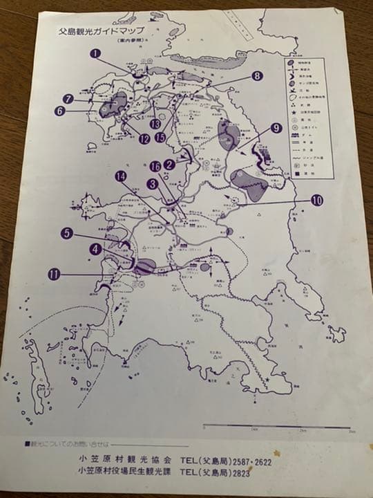 国立公園　小笠原　旅行パンフレット