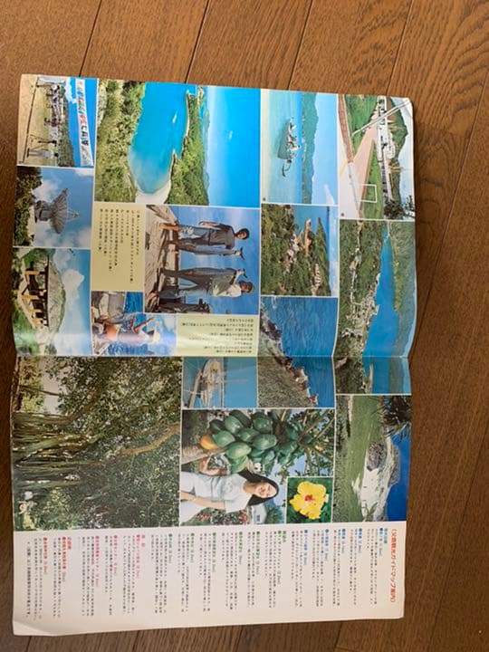 国立公園　小笠原　旅行パンフレット