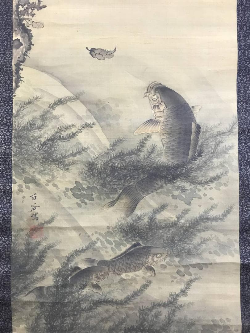 模写/小田海僊/百谷/鯉図/遊鯉図/游鯉図/掛軸/名家伝来AE-288