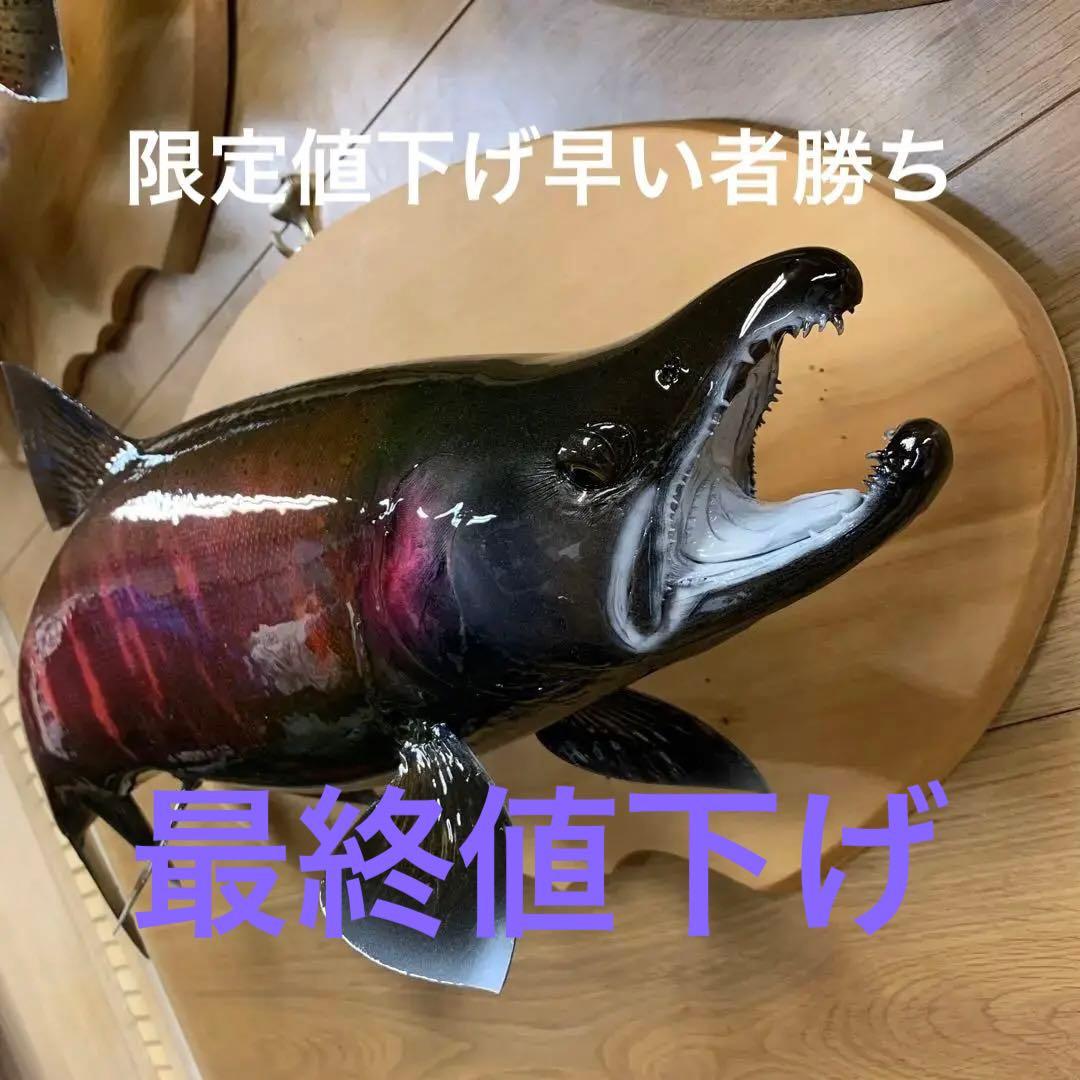 婚姻色 サクラマス 雄、♂約56㎝ 桜鱒 魚 エフクラフト製 十和田湖