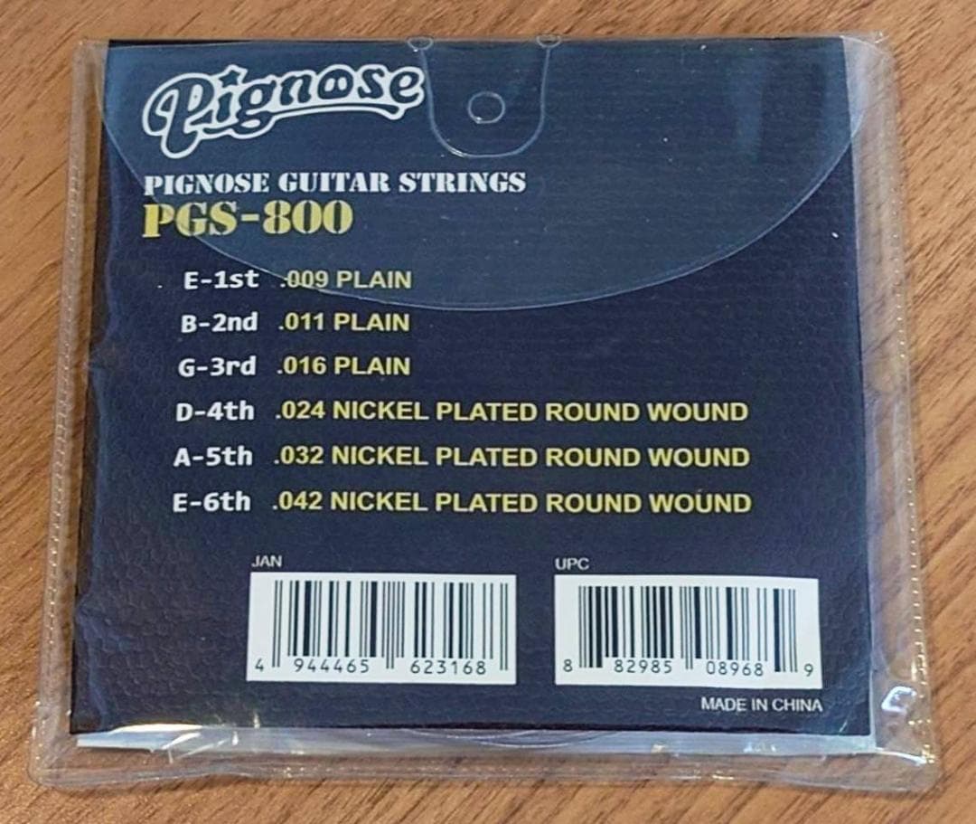 Pignose PGG-200 FM　スピーカー内蔵ギターのベストセラー！！