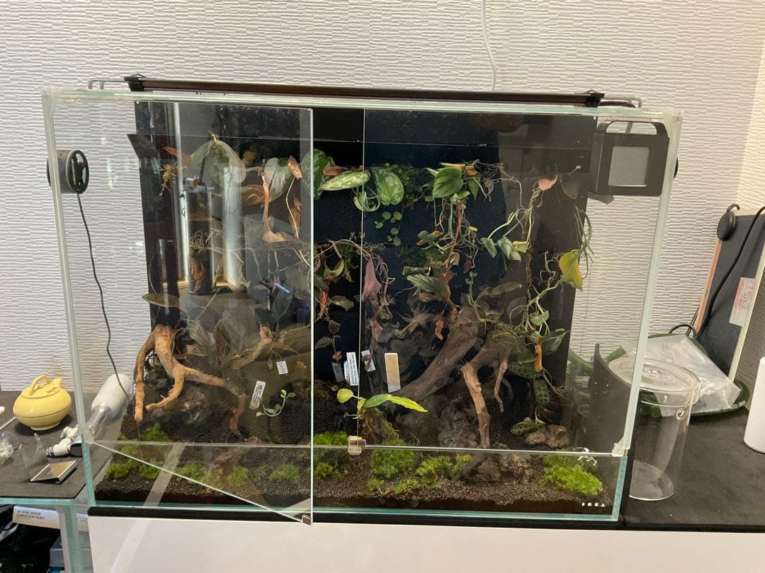 ADA DOOA システムパルダ600 セット