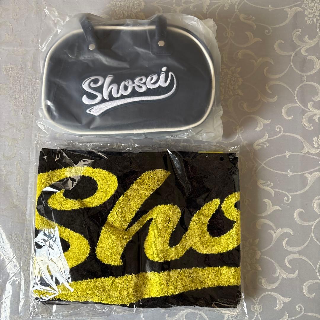 アーティスト関連 ポスター 100本まとめてセット・入手困難非売品