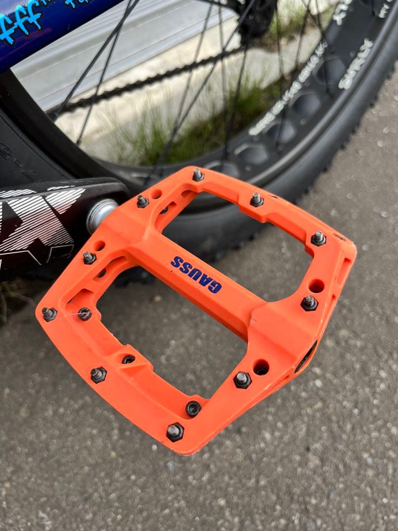 自転車本体 STRUGGLER