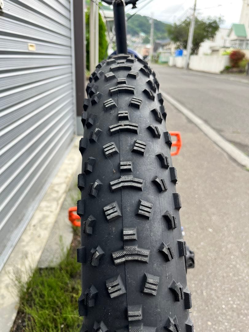 自転車本体 STRUGGLER