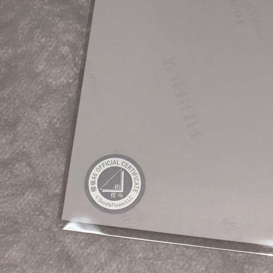 【最終値下げ】櫻坂46 田村保乃 2025サンタ衣装 直筆サイン入り生写真