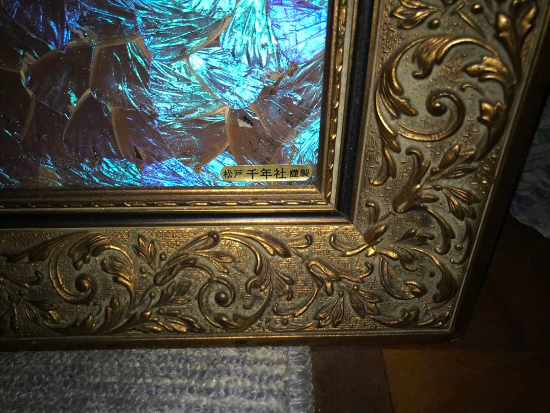 奇跡を呼ぶモルフォ蝶です。最終値下げ着払い横2100✖️縦1150✖️75〜80厚み