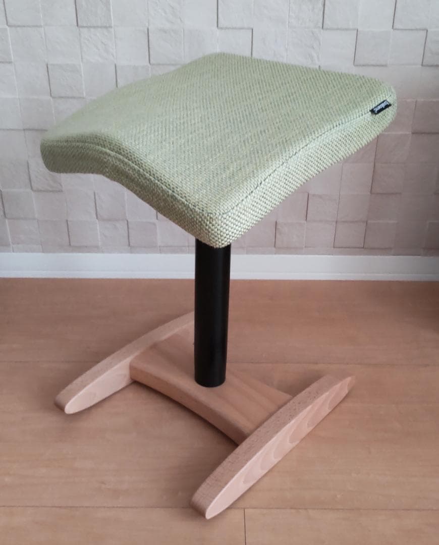 美品 Balans Synergy バランスシナジー カバー付 北欧 腰痛