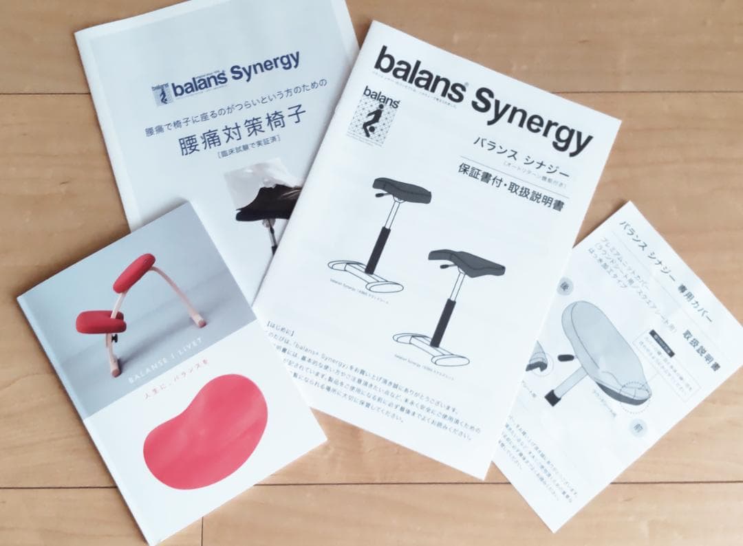 美品 Balans Synergy バランスシナジー カバー付 北欧 腰痛