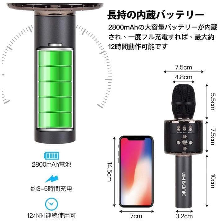 ❤自宅でカラオケ練習OK❣プロが練習用にも使用する本格派♪❤カラオケマイク