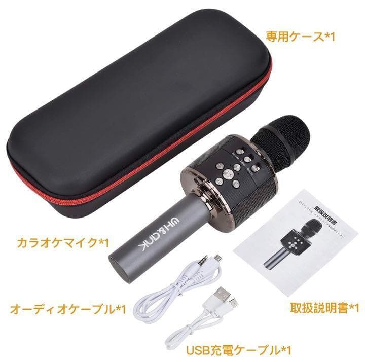 ❤自宅でカラオケ練習OK❣プロが練習用にも使用する本格派♪❤カラオケマイク