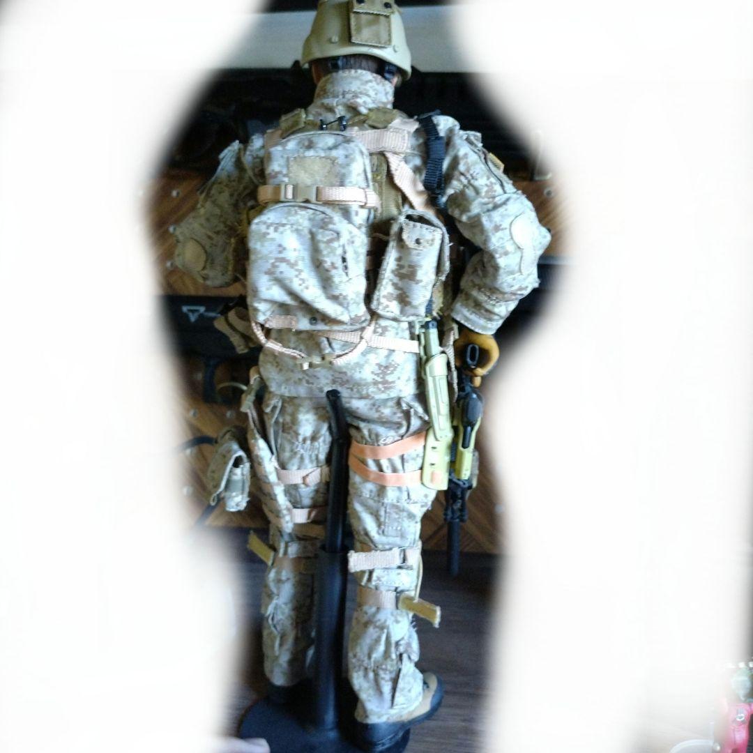 リアルミリタリーフィギュア 迷彩装備 1/6
