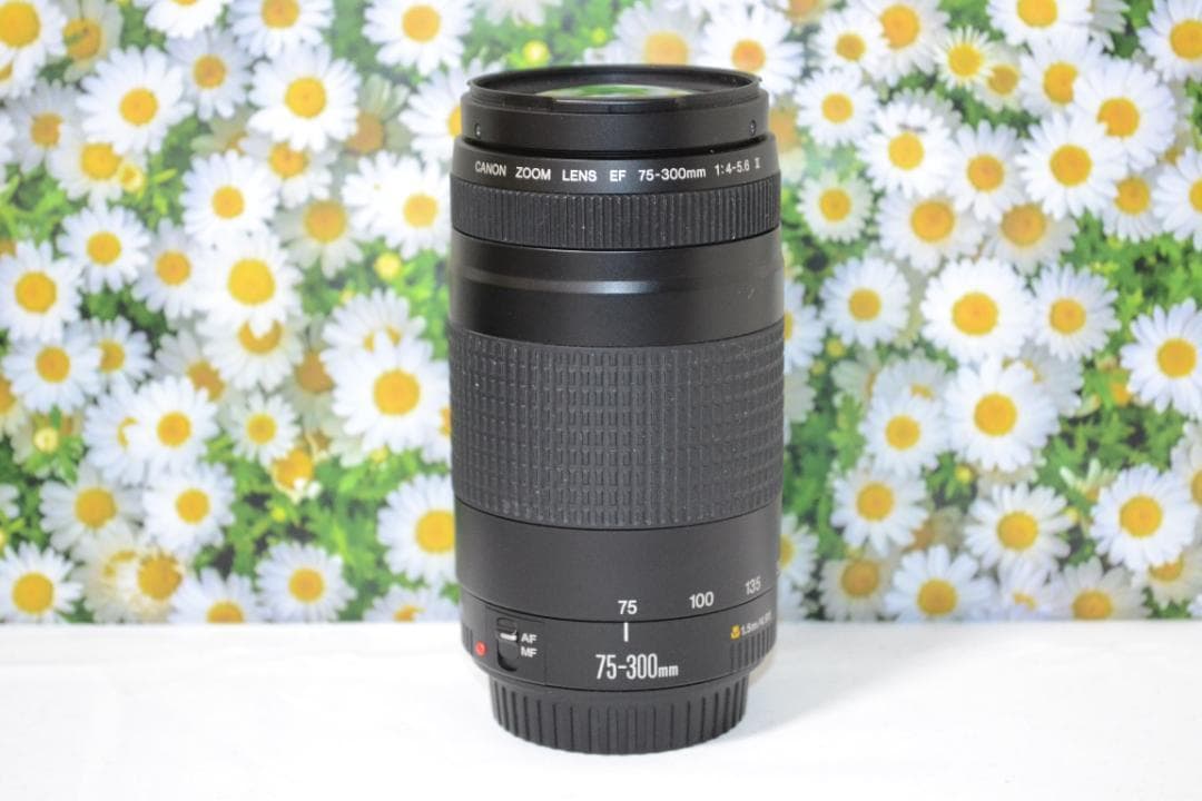 運動会にも大活躍⭐️超望遠レンズ⭐️Canon EF 75-300mm⭐️超
