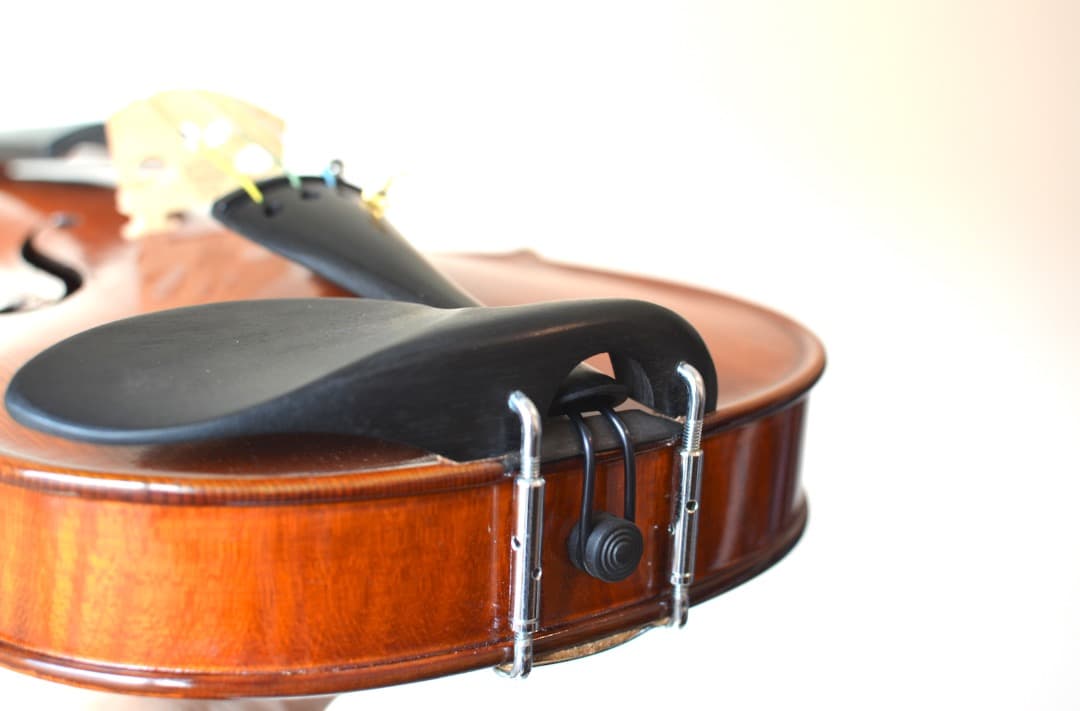 【Ayasa選定品】Gliga VASILE gama2 バイオリン 4/4