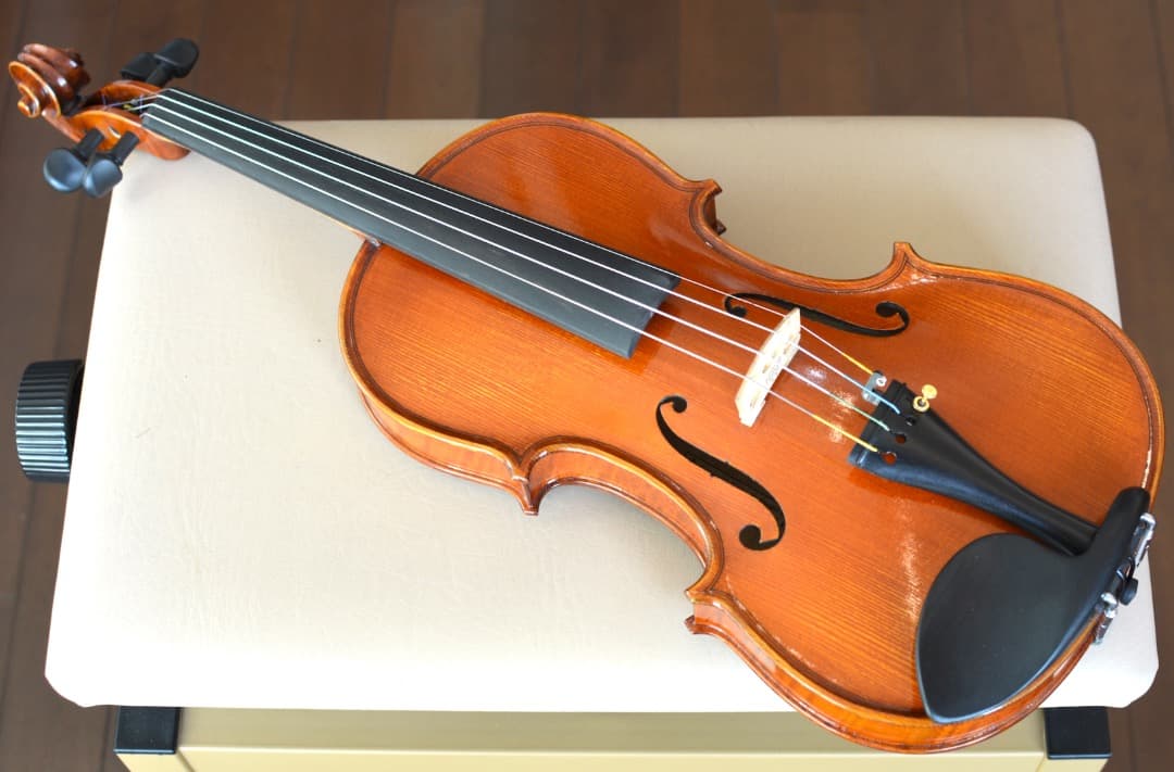 【Ayasa選定品】Gliga VASILE gama2 バイオリン 4/4