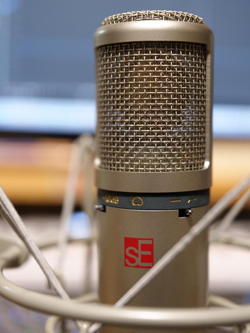 SE ELECTRONICS sE2200a コンデンサーマイク