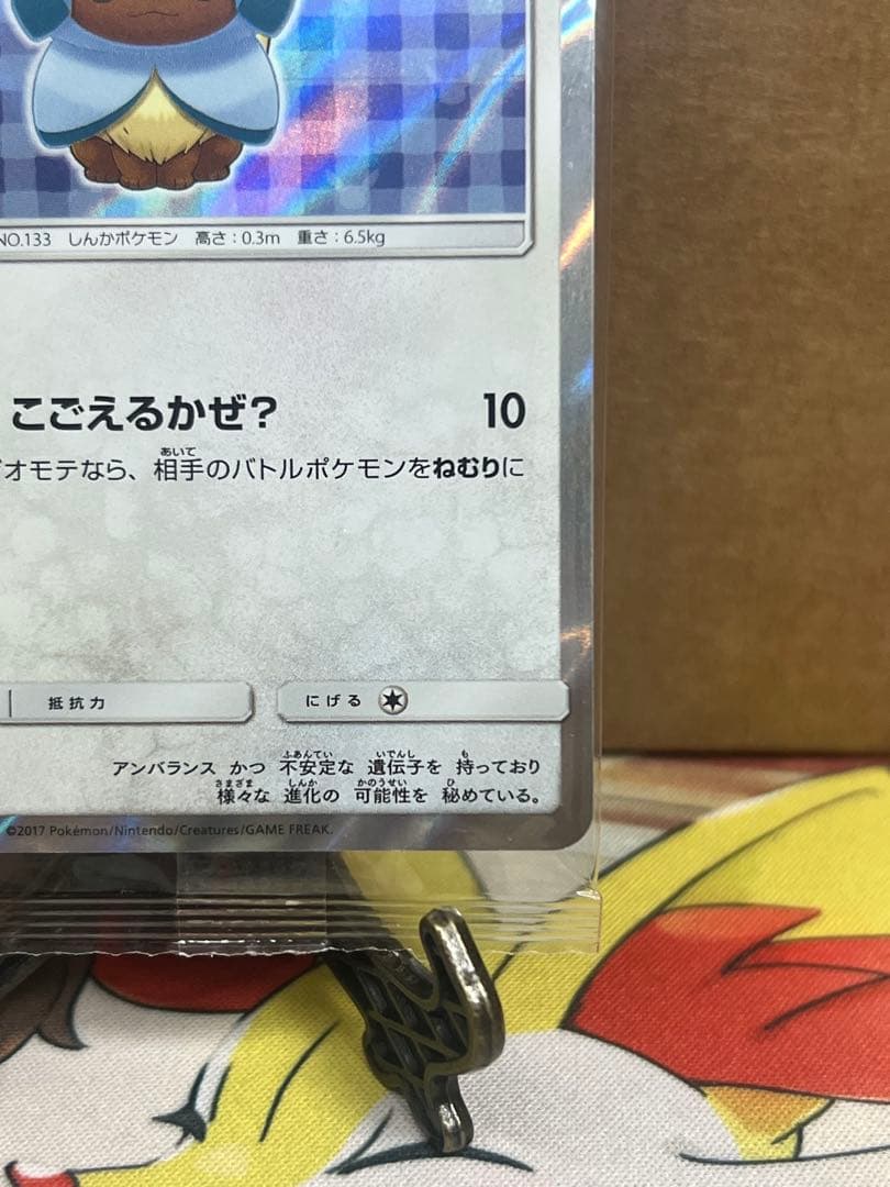 ポンチョを着たイーブイ 未開封 グレイシア