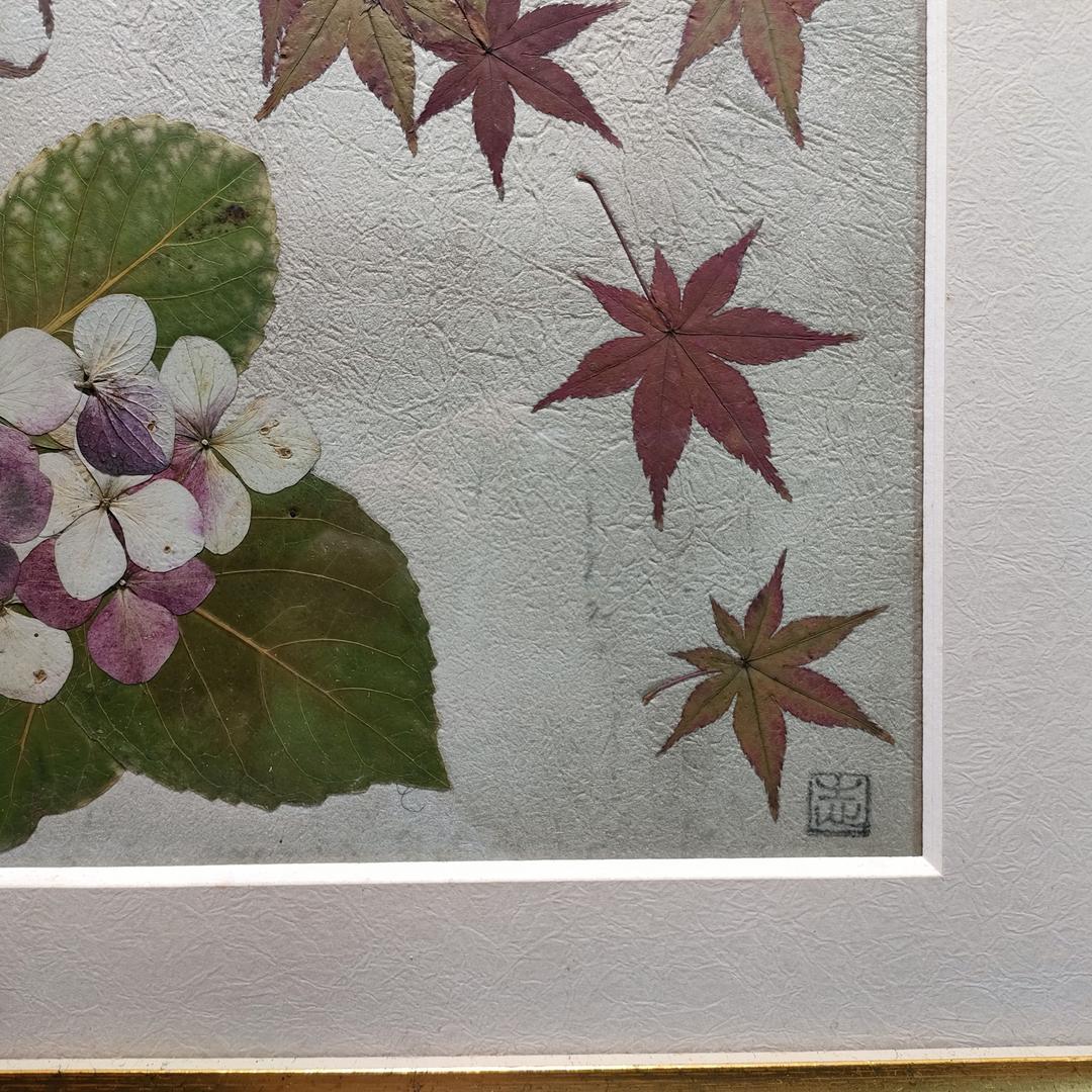 押し花専用額 高級額入り 押し花アート  不思議な花倶楽部  モミジとあじさい