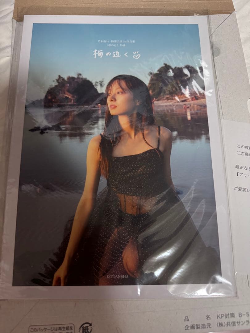 乃木坂46 梅澤美波 1st写真集 アザーカット写真集「梅の近く」（当選書